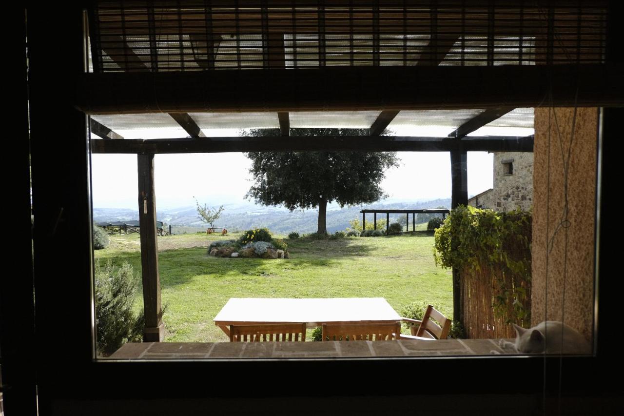 Agriturismo Poggio Monte 萨杜勒尼亚 外观 照片