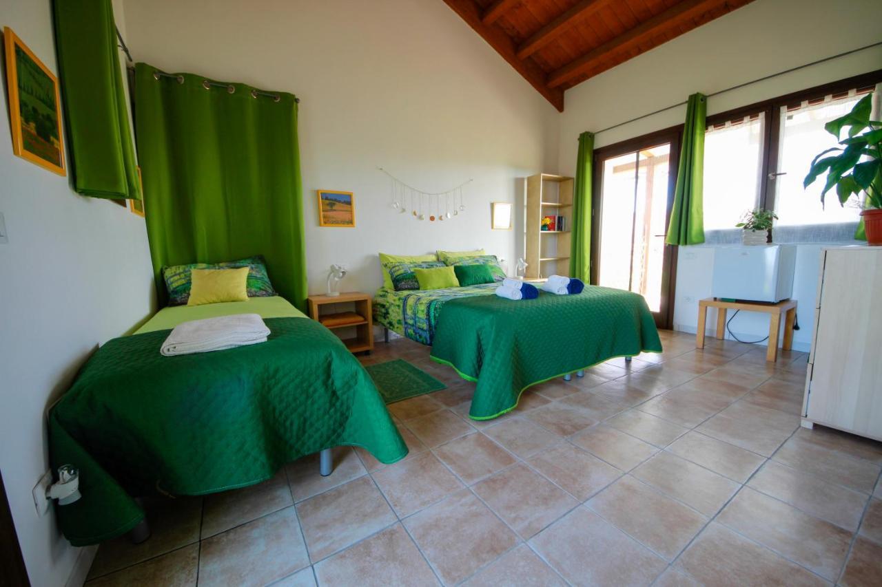 Agriturismo Poggio Monte 萨杜勒尼亚 外观 照片