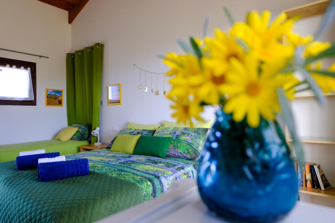Agriturismo Poggio Monte 萨杜勒尼亚 外观 照片