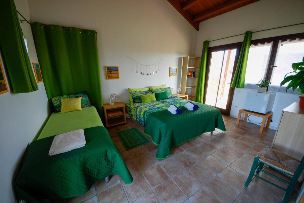 Agriturismo Poggio Monte 萨杜勒尼亚 外观 照片