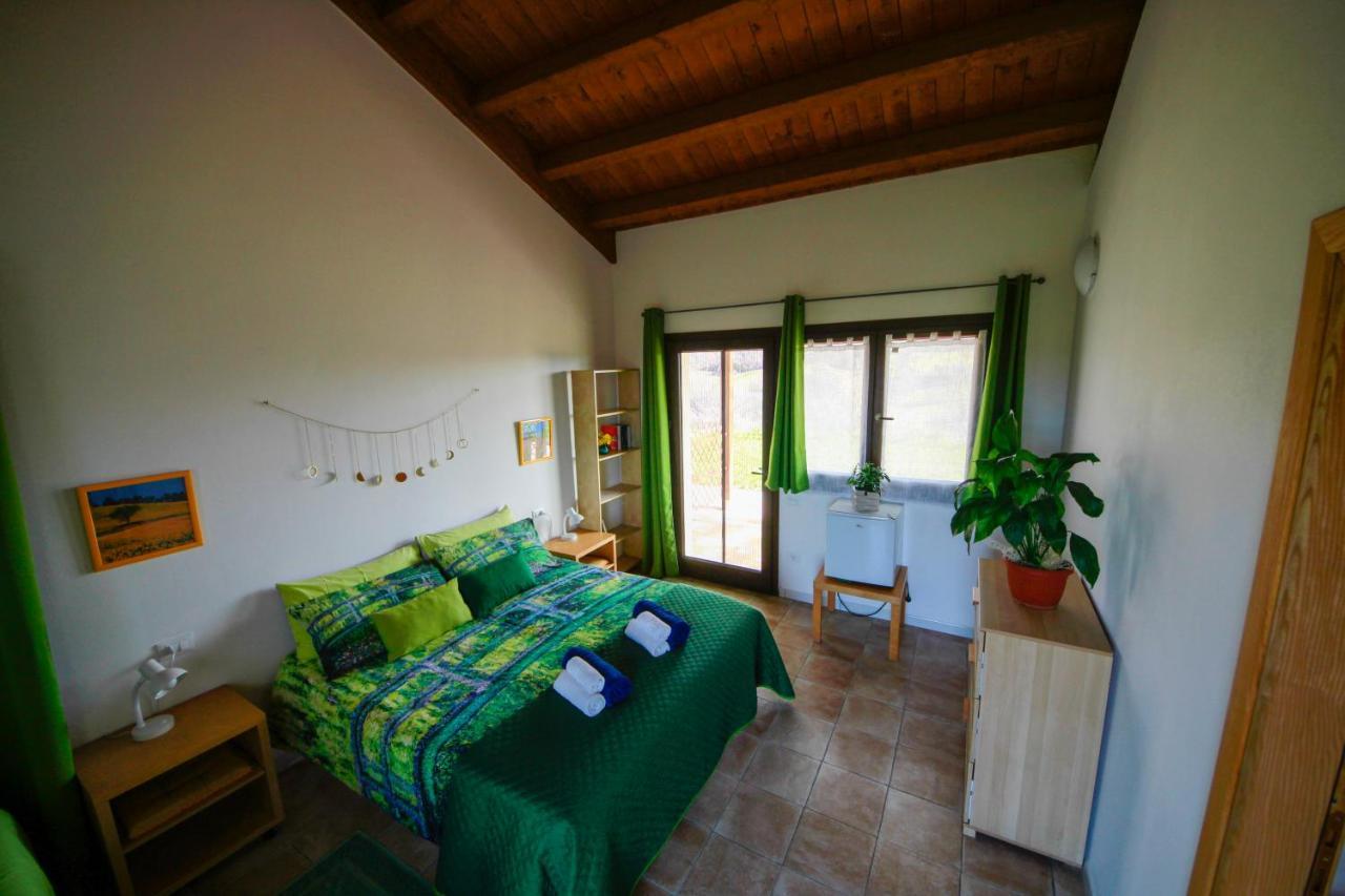 Agriturismo Poggio Monte 萨杜勒尼亚 外观 照片