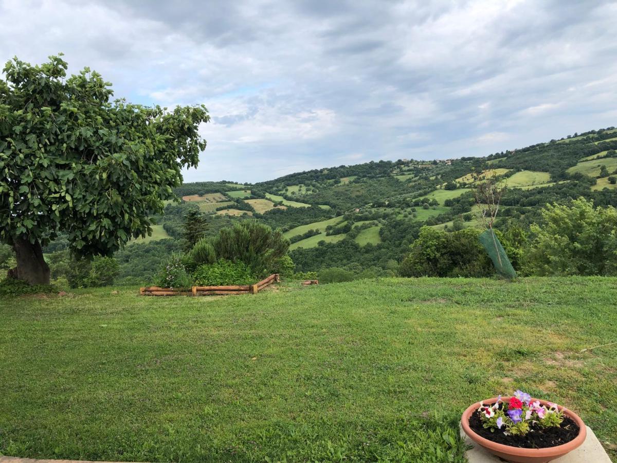 Agriturismo Poggio Monte 萨杜勒尼亚 外观 照片