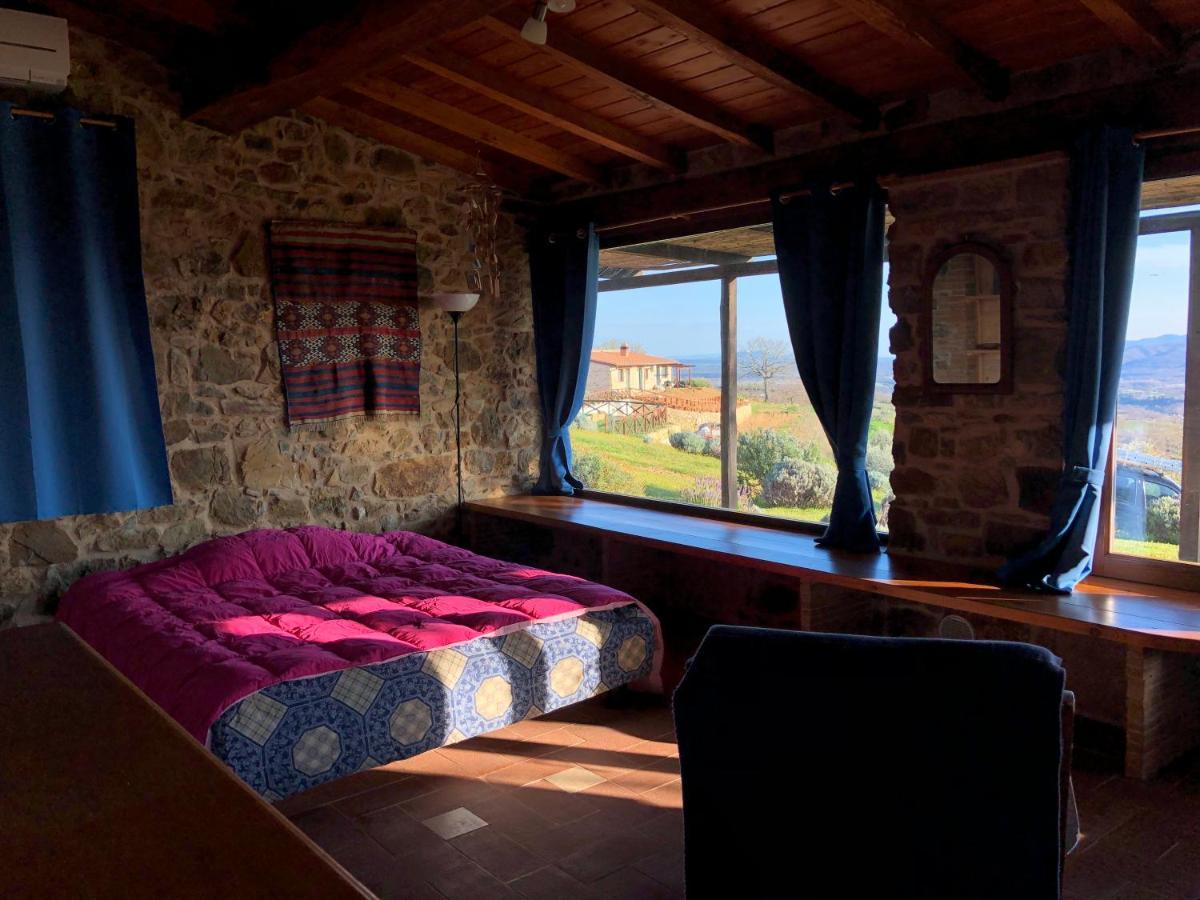 Agriturismo Poggio Monte 萨杜勒尼亚 外观 照片