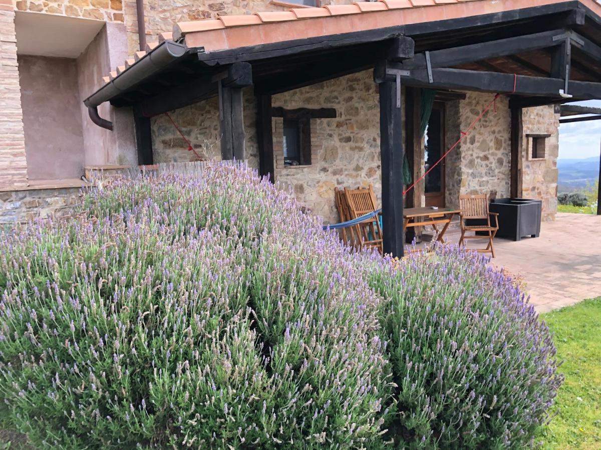 Agriturismo Poggio Monte 萨杜勒尼亚 外观 照片