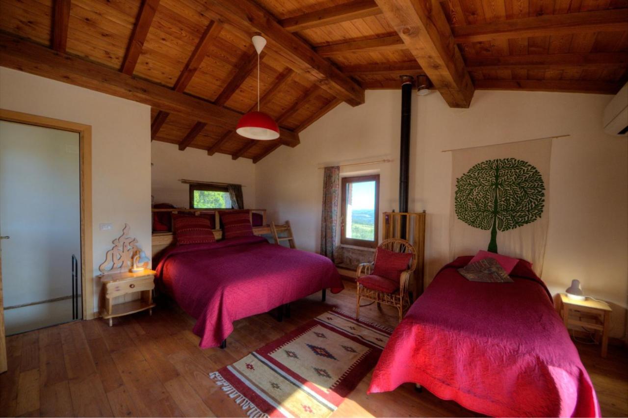 Agriturismo Poggio Monte 萨杜勒尼亚 外观 照片