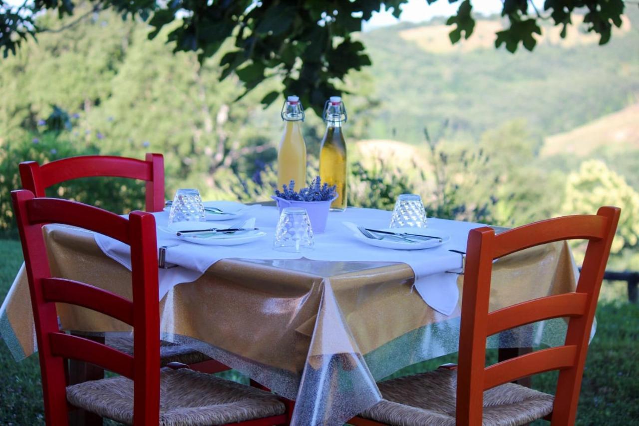 Agriturismo Poggio Monte 萨杜勒尼亚 外观 照片