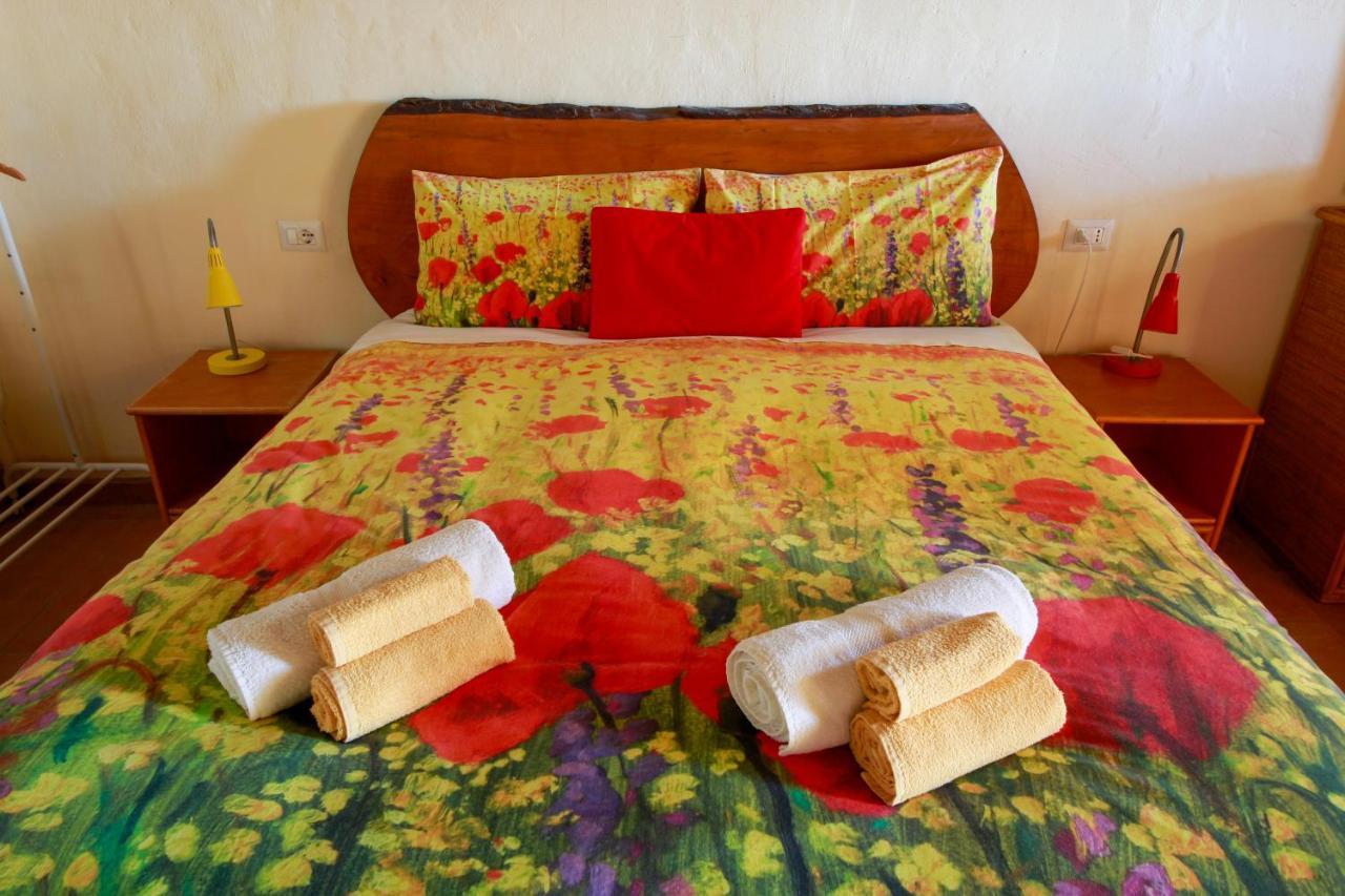 Agriturismo Poggio Monte 萨杜勒尼亚 外观 照片