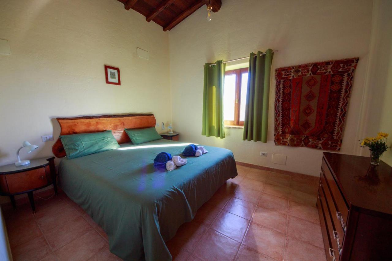 Agriturismo Poggio Monte 萨杜勒尼亚 外观 照片